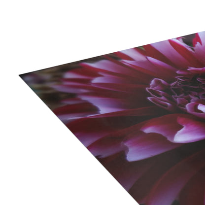 Red and White Dahlia Postcard – Botanical Floral Stationery for Garden-Inspired Correspondence