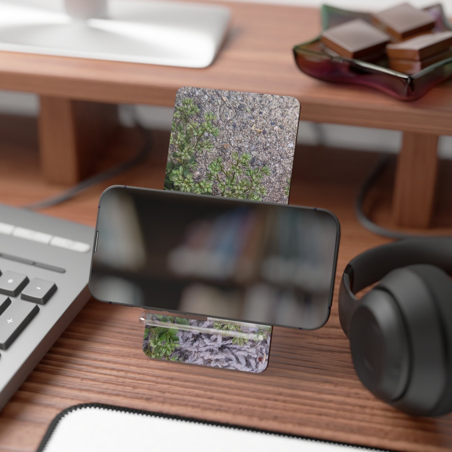 Where the Allseed Grows Phone Stand – Urban Nature Minimalist Smartphone Holder with Botanical Concrete Texture
