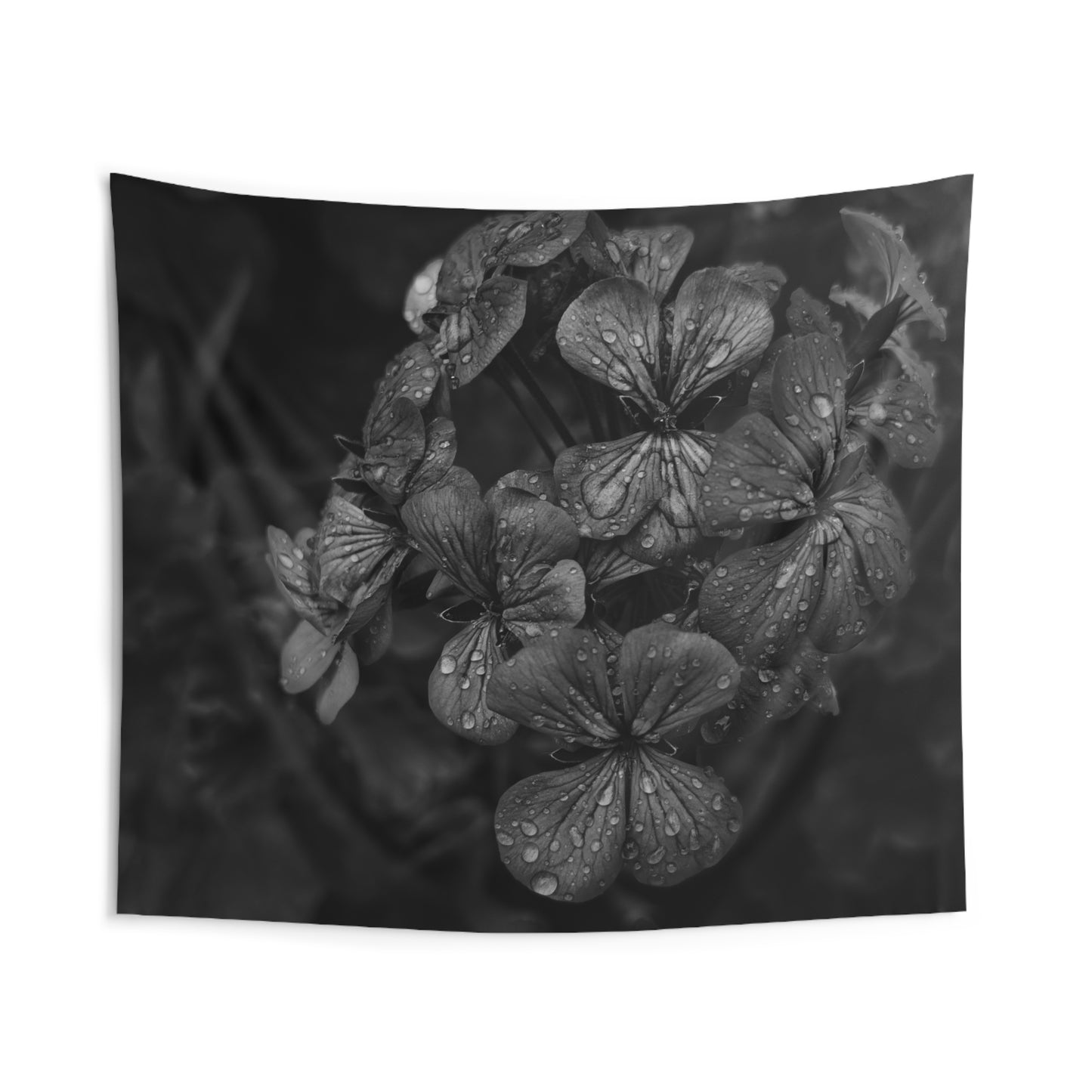 Geranium After a Light Rain Wall Tapestry – Modern Botanical Floral Black and White Photography Home Decor