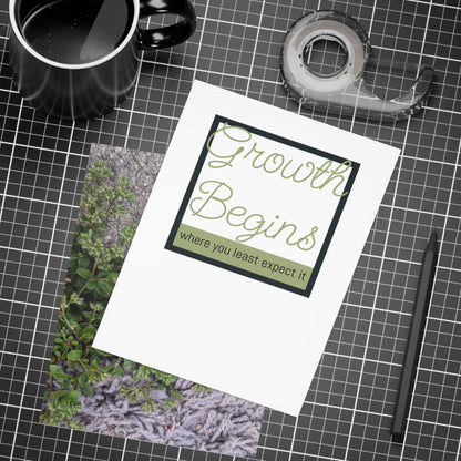 Where the Allseed Grows Postcard – Urban Nature Minimalist Botanical Stationery with Concrete Texture