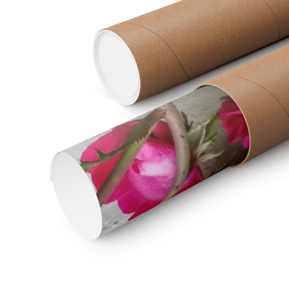 Bougainvillea Against White Stucco Wall Poster – Vibrant Floral Photography Wall Art