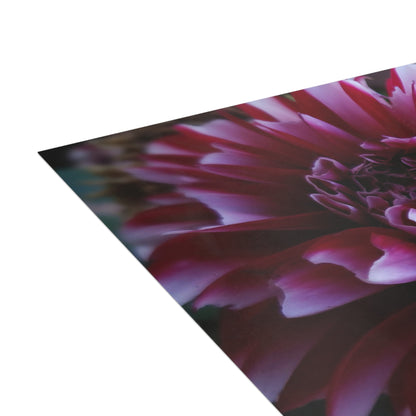 Red and White Dahlia Postcard – Botanical Floral Stationery for Garden-Inspired Correspondence