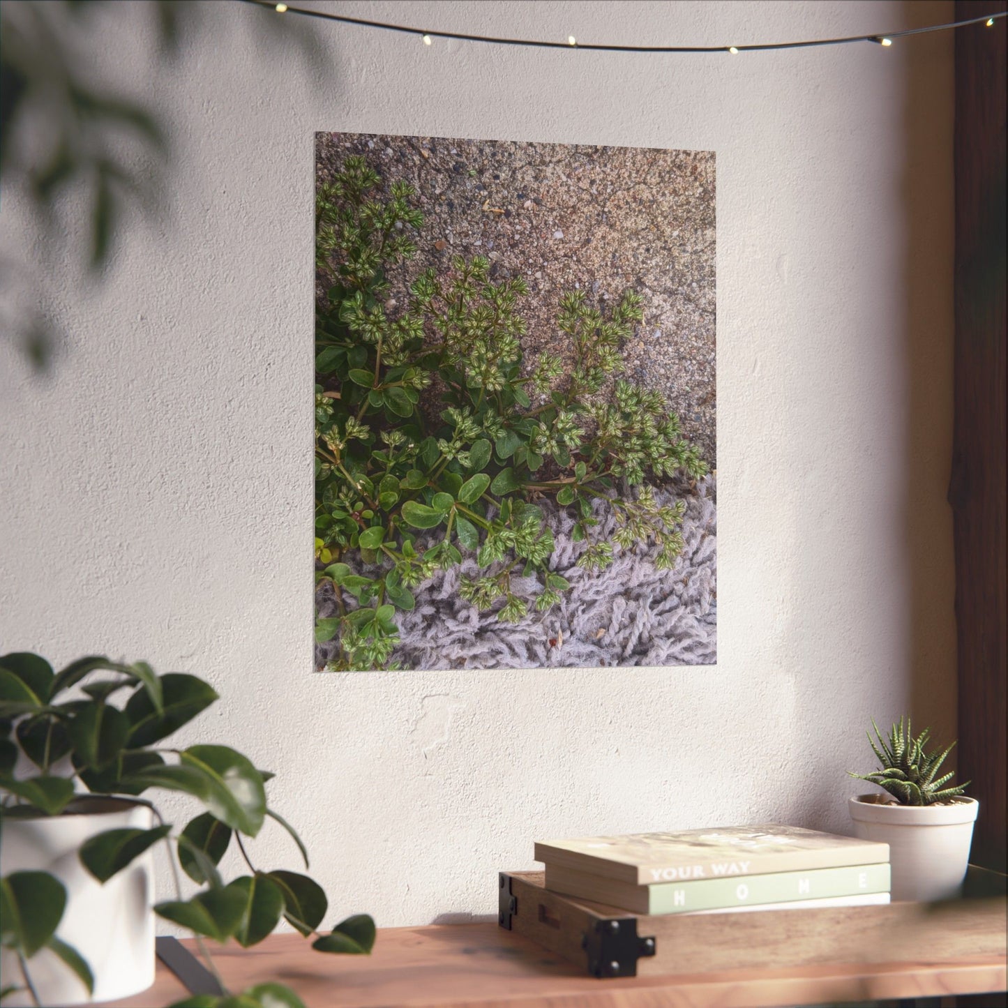 Where the Allseed Grows Poster – Urban Nature Minimalist Wall Art with Concrete Texture and Botanical Contrast