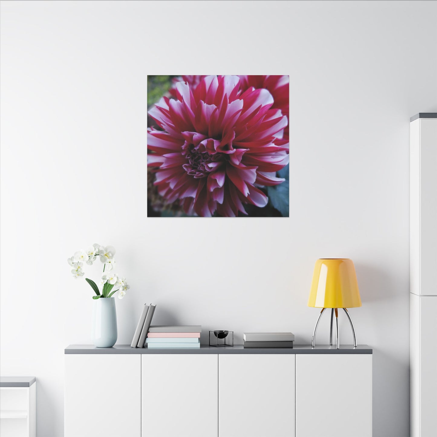Red and White Dahlia Canvas Print – Bright Floral Nature Photography Wall Art