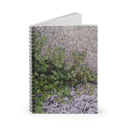 Where the Allseed Grows Notebook – Urban Nature Minimalist Botanical Journal with Concrete Texture Cover