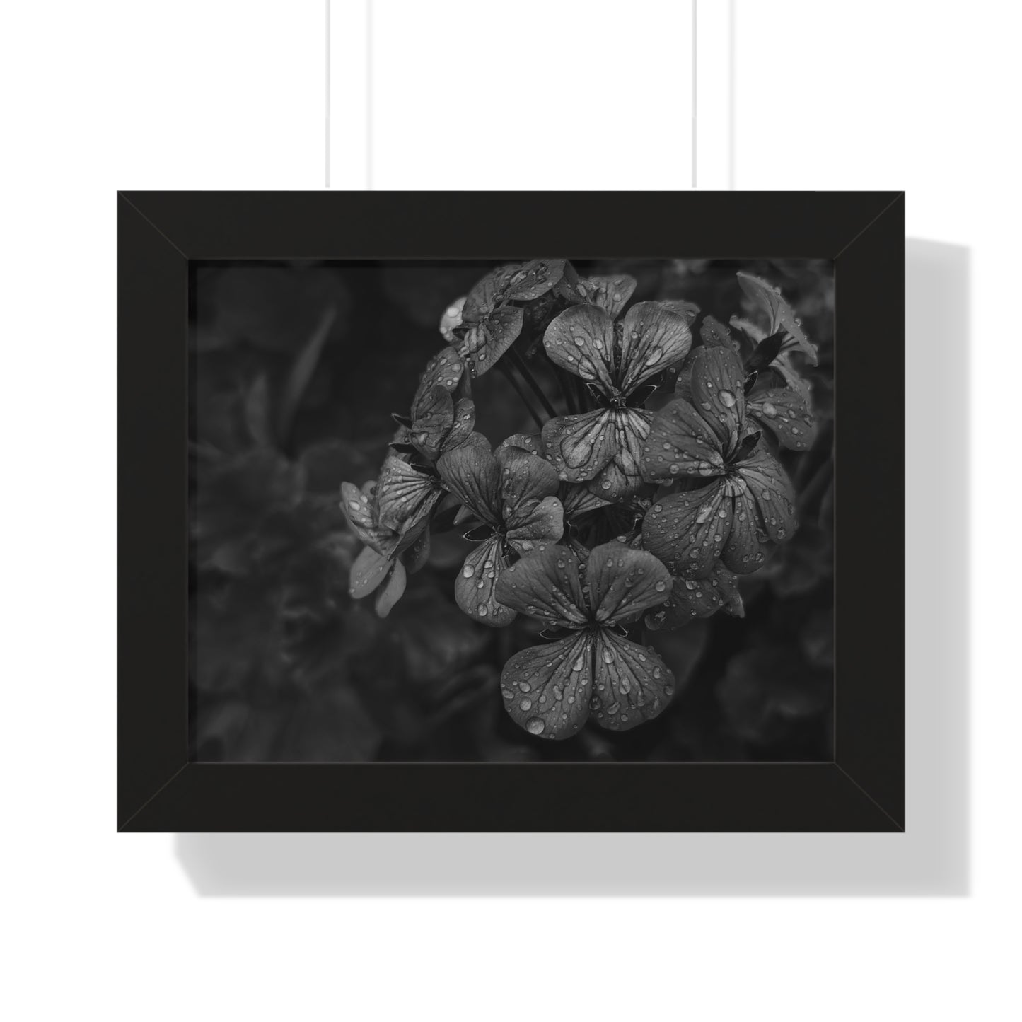 Geranium After a Light Rain Framed Print – Moody Botanical Floral Art, Monochrome Nature-Inspired Wall Decor