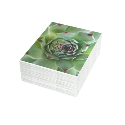 Pale Green Spiky Succulent Postcard – Botanical Art Print for Calm Minimalist Correspondence and Decor