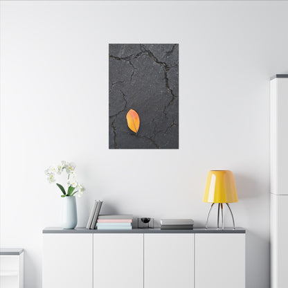 Orange Leaf Against Black Concrete Minimalistic Canvas Print – Contemporary Nature Photography Wall Art