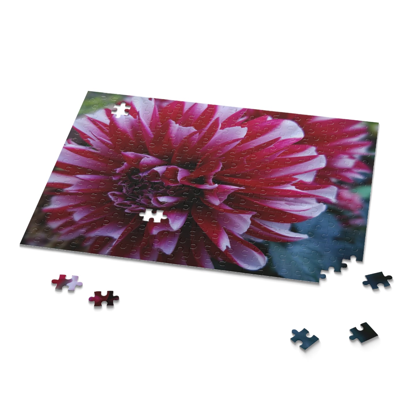 Red and White Dahlia Puzzle – Botanical Floral Jigsaw for Adults, Cottagecore Garden-Inspired Game Night Gift