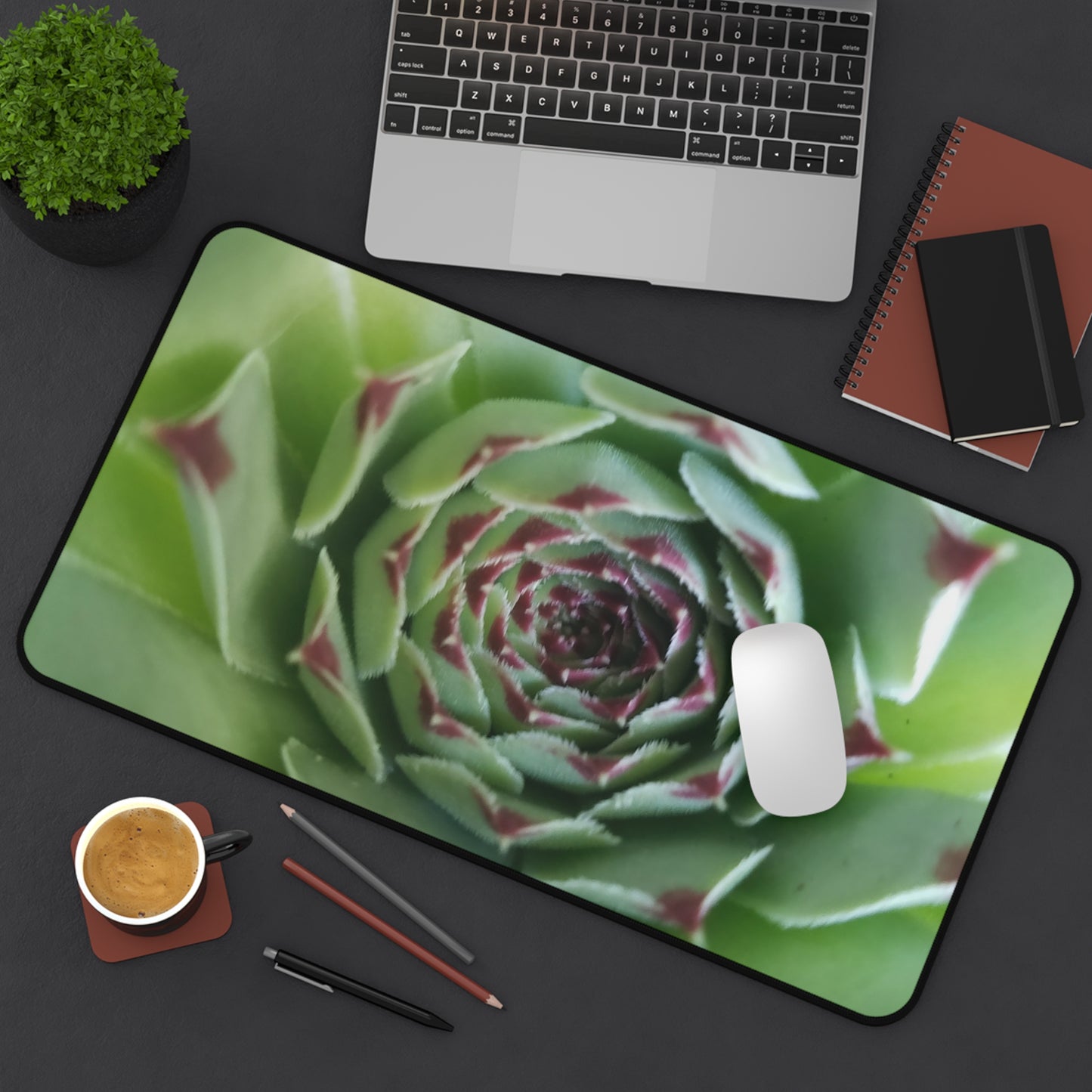 Pale Green Spiky Succulent Desk Mat – Minimalist Botanical Desk Accessory for Modern Office Decor