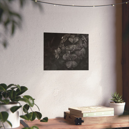 Geranium After a Light Rain Poster Print – Moody Botanical  Black and White Floral Photography Wall Art