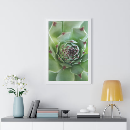 Pale Green Spiky Succulent Framed Print – Minimalist Botanical Wall Art for Desert-Inspired Interiors