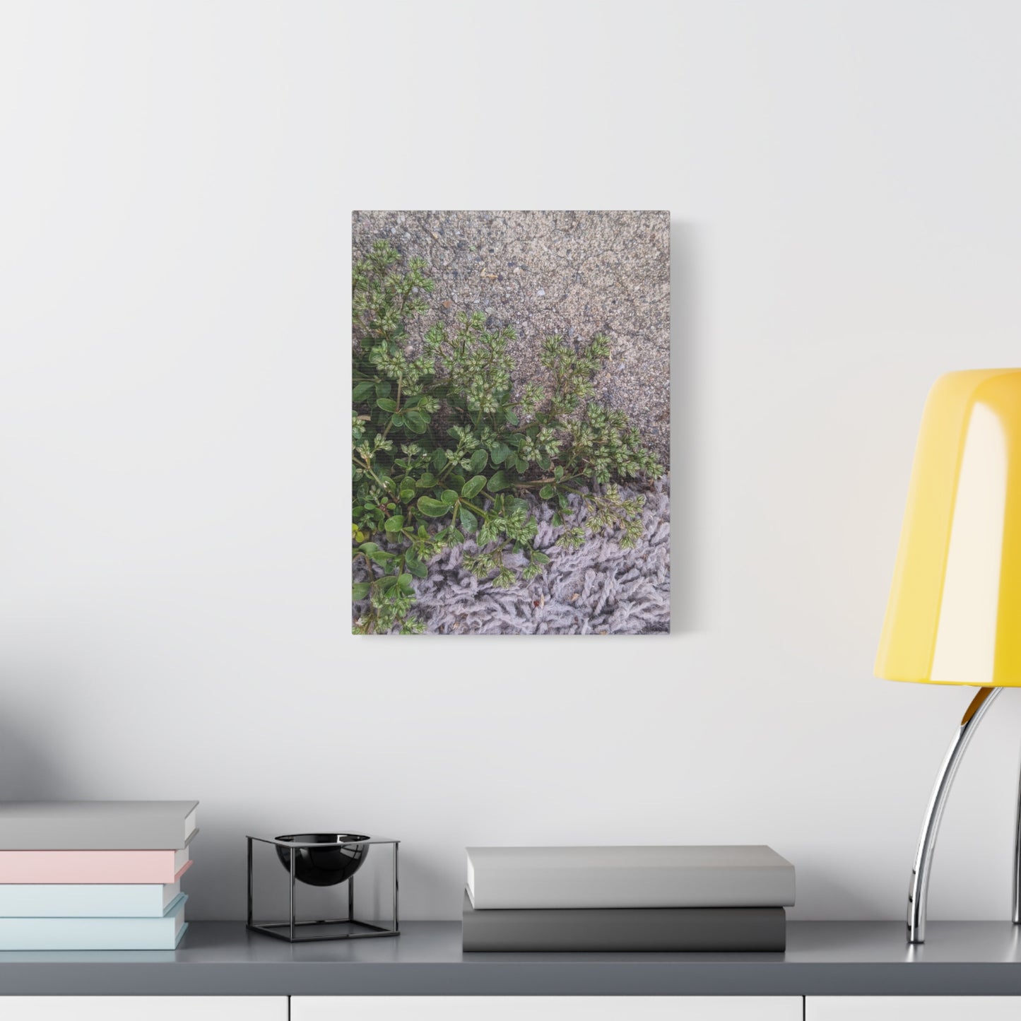 Where the Allseed Grows Canvas Print – Urban Nature Minimalist Botanical Wall Art with Concrete Texture