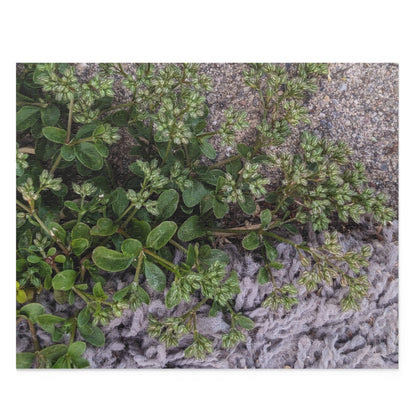 Where the Allseed Grows Puzzle – Urban Nature Minimalist Botanical Jigsaw with Concrete Texture
