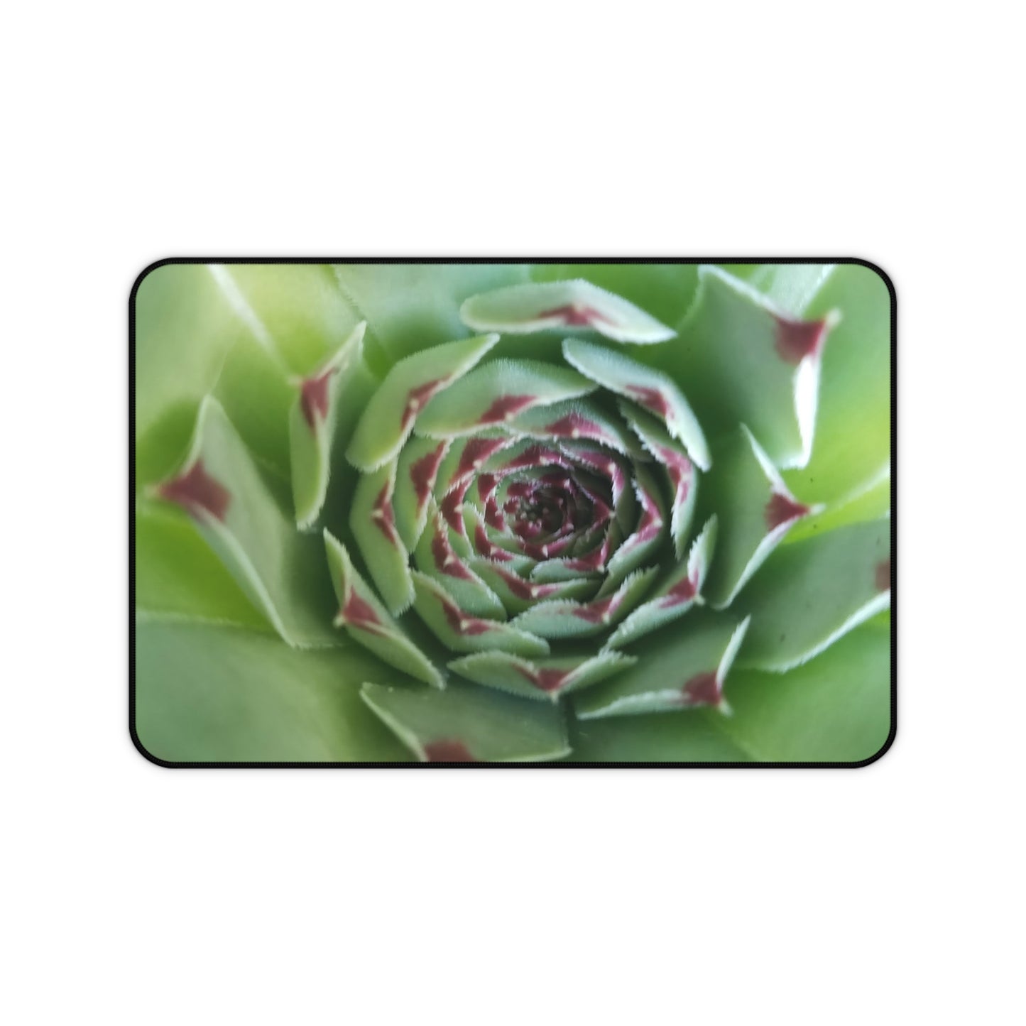 Pale Green Spiky Succulent Desk Mat – Minimalist Botanical Desk Accessory for Modern Office Decor