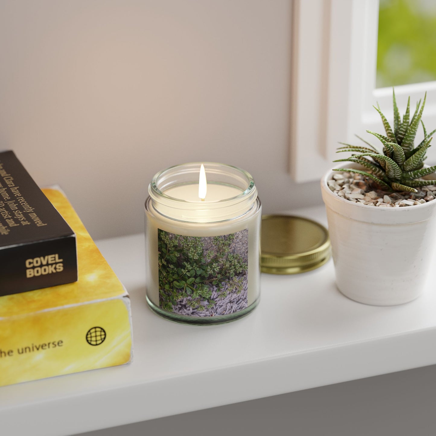 Where the Allseed Grows Jar Candle – Urban Nature Minimalist Scented Candle with Botanical Concrete Texture