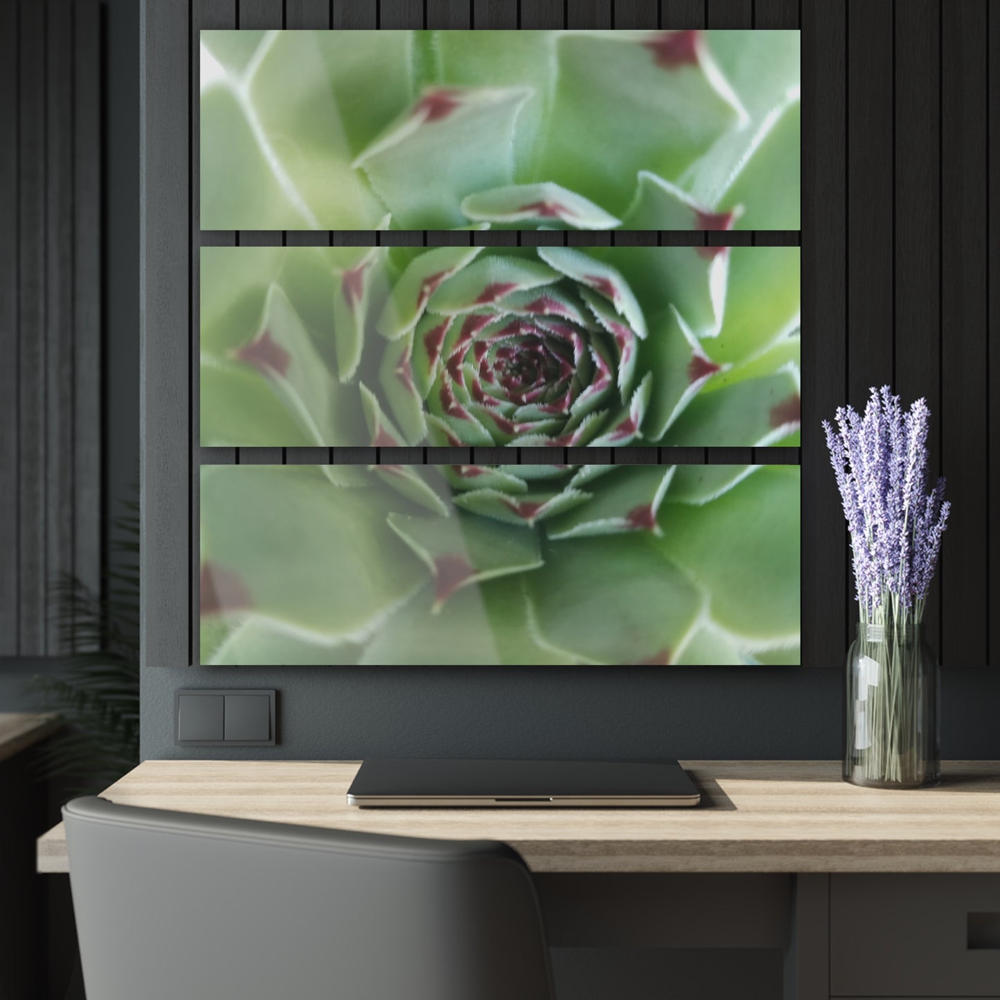 Pale Green Spikey Succulent Triptych Acrylic – Succulent with Green Red Tips Macro Photography Wall Art for Living Room