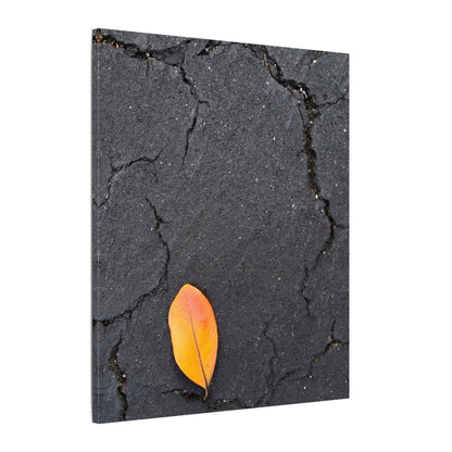 Orange Leaf Against Black Concrete Minimalistic Canvas Print – Contemporary Nature Photography Wall Art