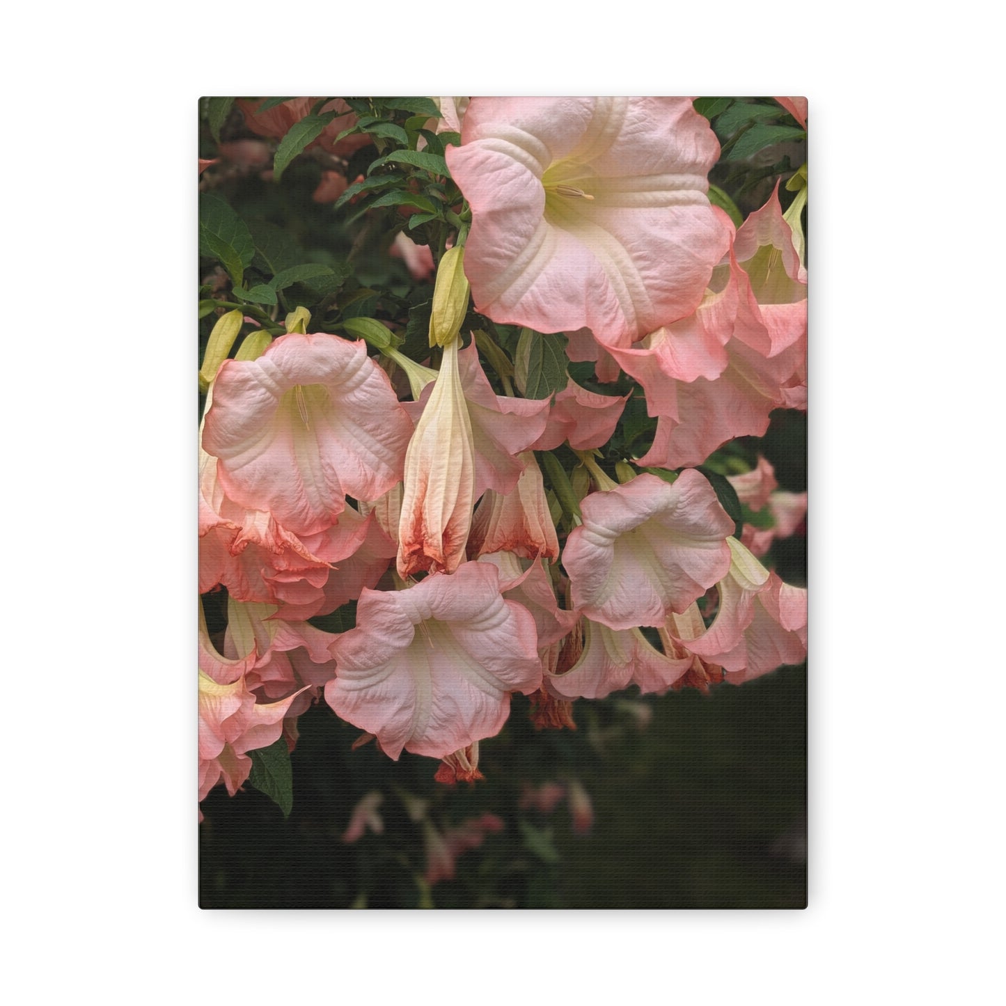 Angels in the Garden Canvas Wall Art - Vibrant Floral Design Nature Photography Decor
