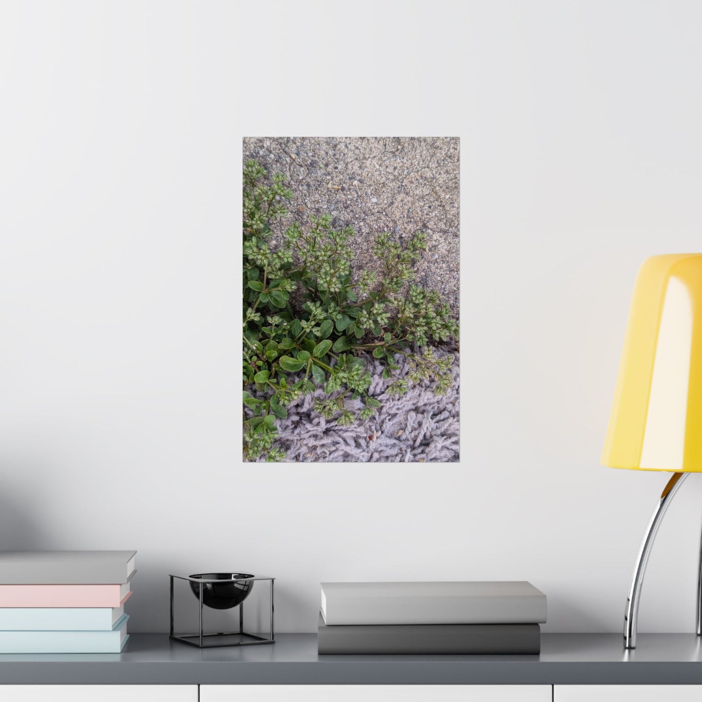 Where the Allseed Grows Poster – Urban Nature Minimalist Wall Art with Concrete Texture and Botanical Contrast
