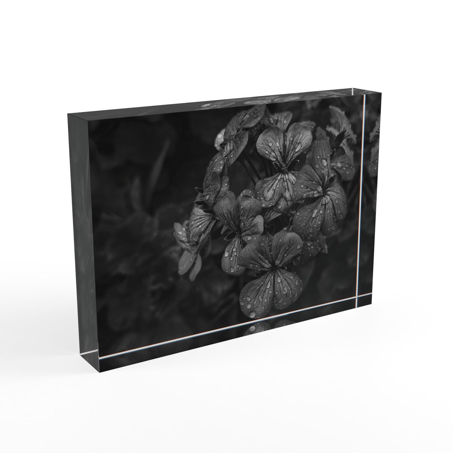 Geranium After a Light Rain Acrylic Block – Modern Moody Black and White Floral Botanical Home Decor Accent