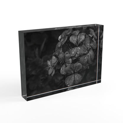 Geranium After a Light Rain Acrylic Block – Modern Moody Black and White Floral Botanical Home Decor Accent