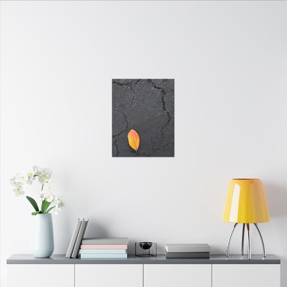 Orange Leaf Against Black Concrete Minimalistic Canvas Print – Contemporary Nature Photography Wall Art