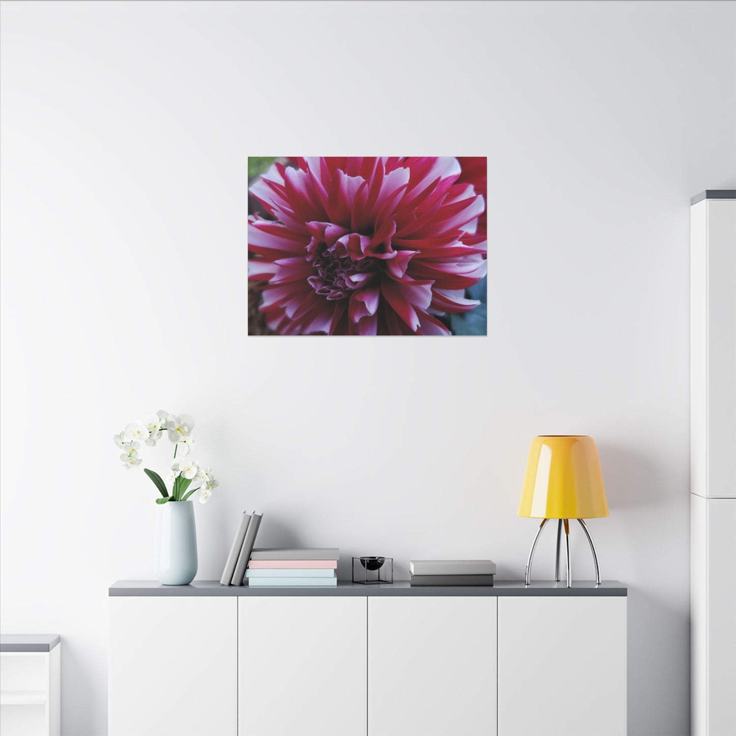 Red and White Dahlia Canvas Print – Bright Floral Nature Photography Wall Art