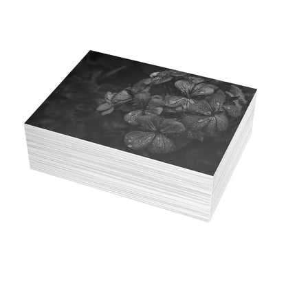 Geranium After a Light Rain Postcard – Moody Botanical Photography, Monochrome Floral Stationery for Thoughtful Correspondence