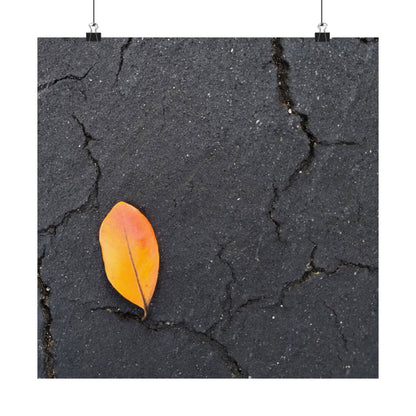 Orange Leaf Against Black Concrete Poster – Minimalist Nature Photography Wall Art