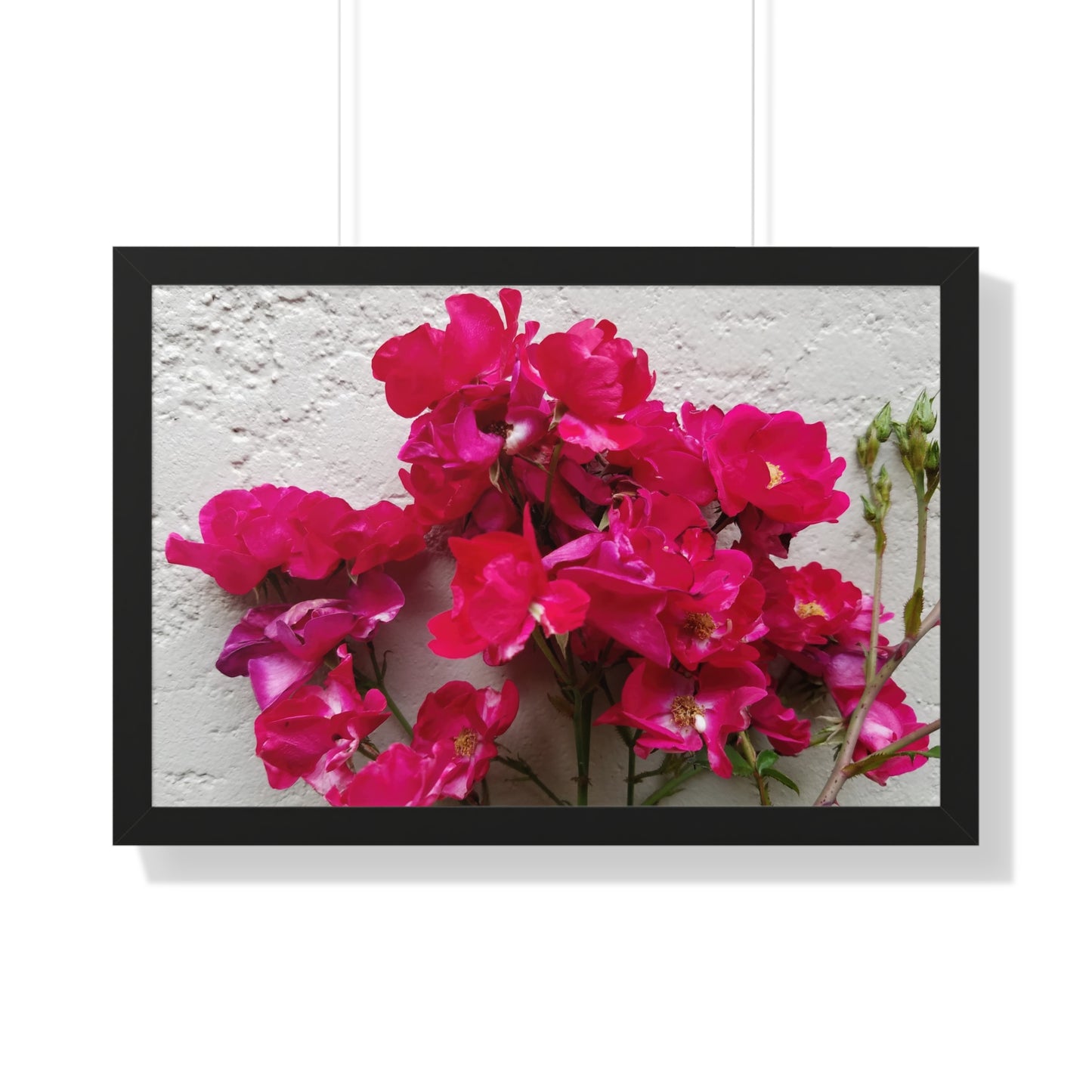 Bougainvillea Against White Stucco Wall Framed Print – Mediterranean Floral Wall Art, Summer Bloom Botanical Decor