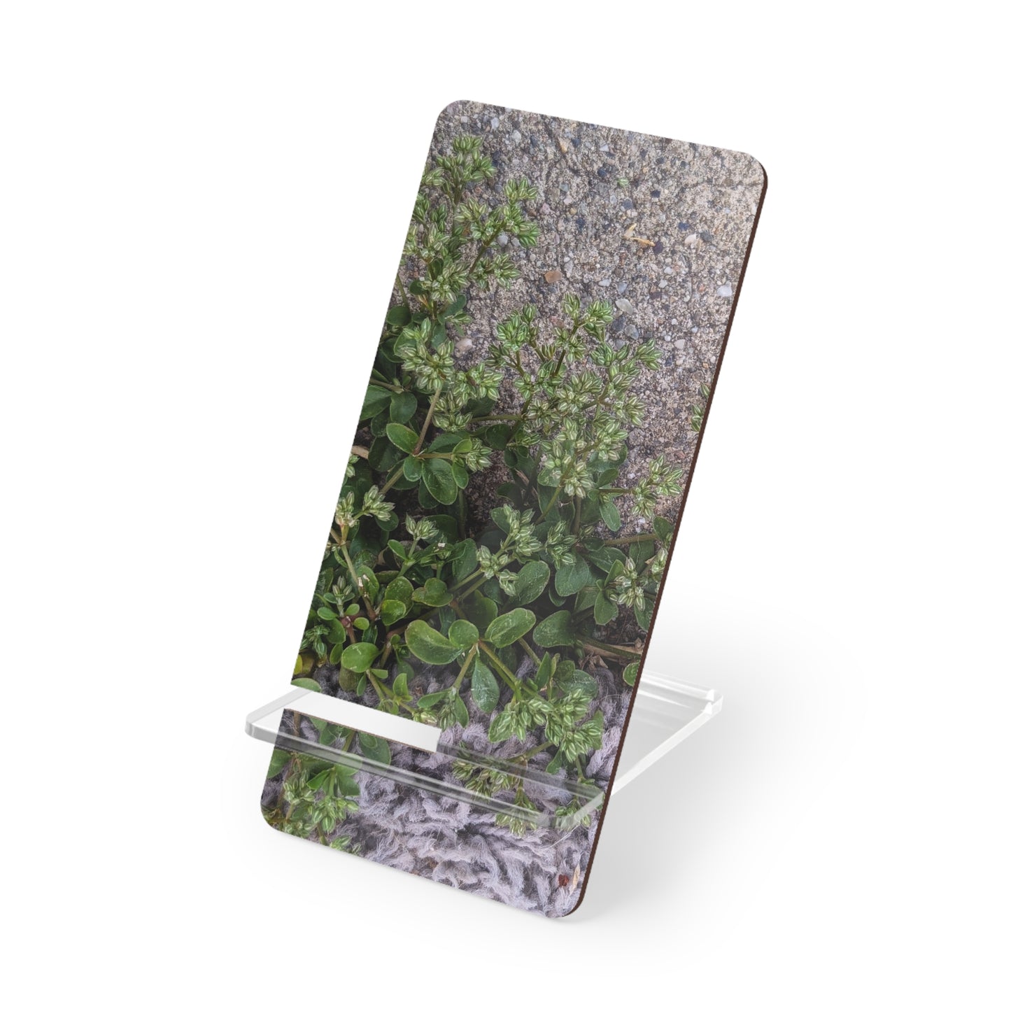 Where the Allseed Grows Phone Stand – Urban Nature Minimalist Smartphone Holder with Botanical Concrete Texture