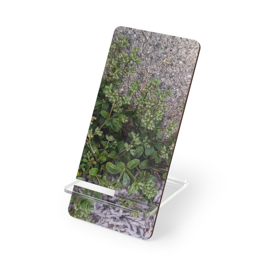 Where the Allseed Grows Phone Stand – Urban Nature Minimalist Smartphone Holder with Botanical Concrete Texture