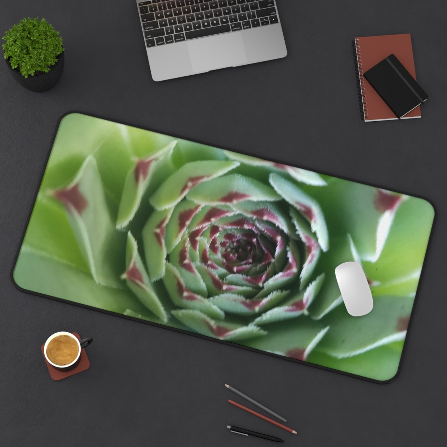 Pale Green Spiky Succulent Desk Mat – Minimalist Botanical Desk Accessory for Modern Office Decor