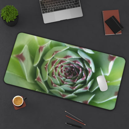 Pale Green Spiky Succulent Desk Mat – Minimalist Botanical Desk Accessory for Modern Office Decor
