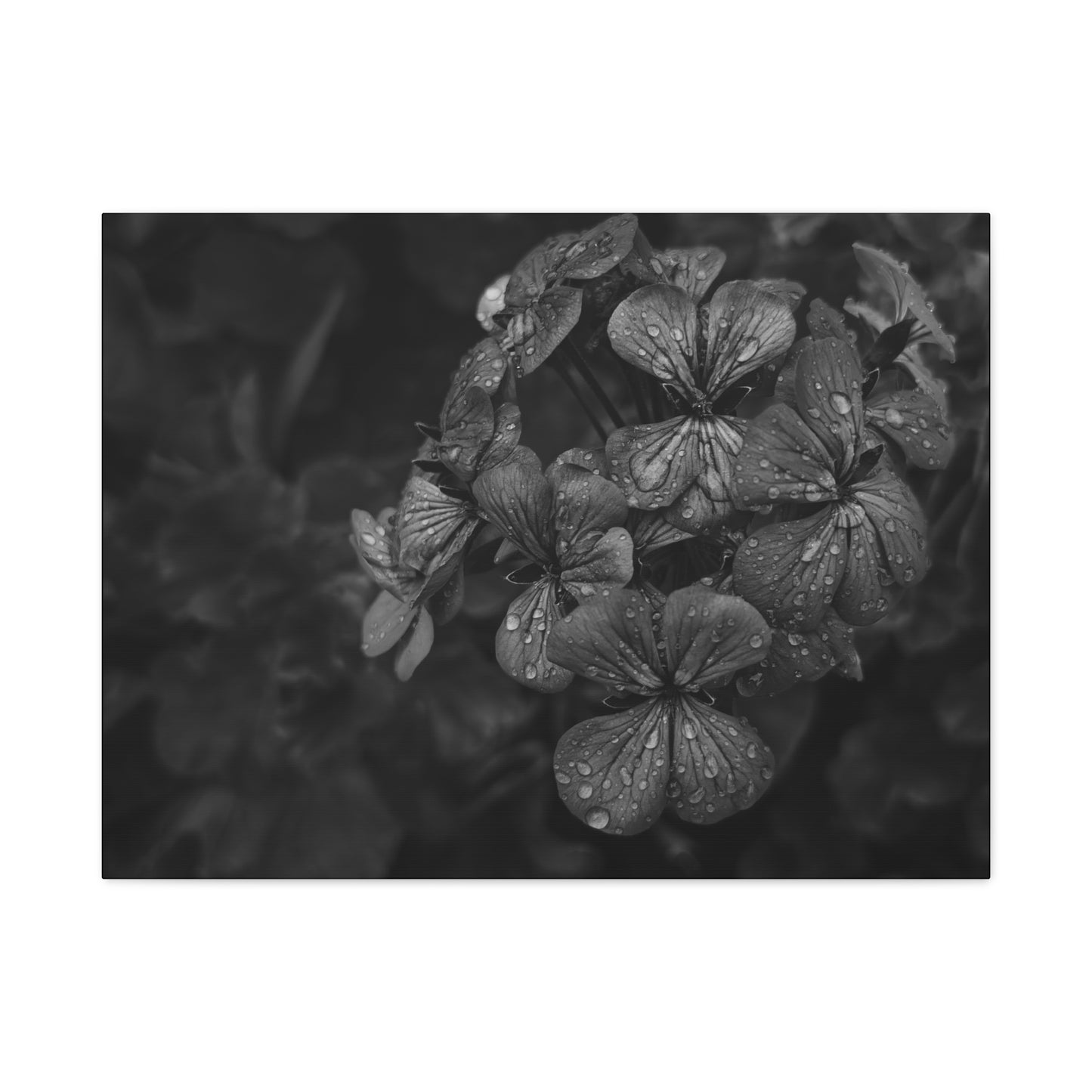 Nature-inspired floral print for romantic home decor