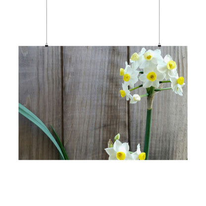 Daffodils by the Fence Poster – Rustic Spring Floral Wall Art for Cottagecore and Botanical Decor