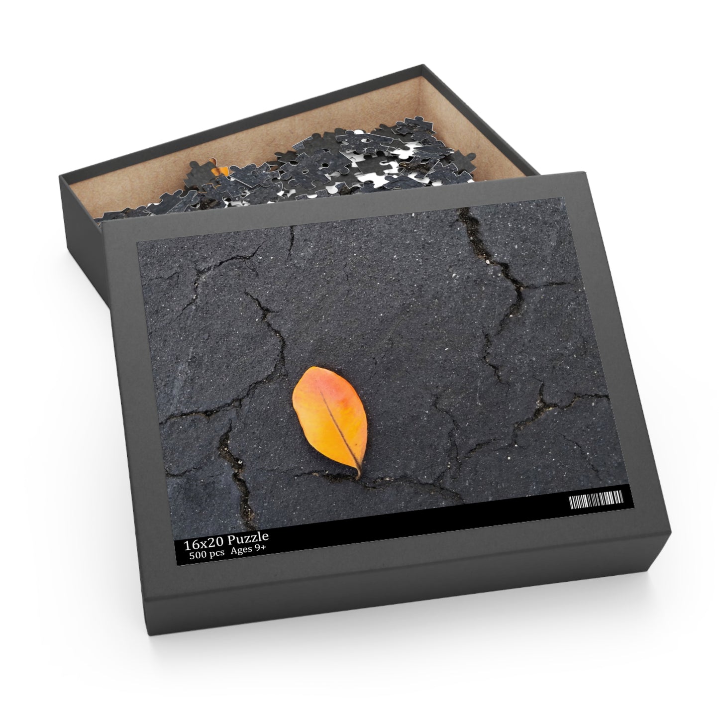 Orange Leaf on Black Concrete Puzzle – Moody Autumn Jigsaw for Minimalist Fall Decor and Nature Lovers