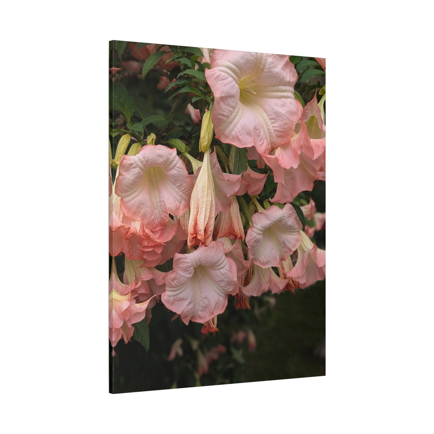 Angels in the Garden Canvas Wall Art - Vibrant Floral Design Nature Photography Decor