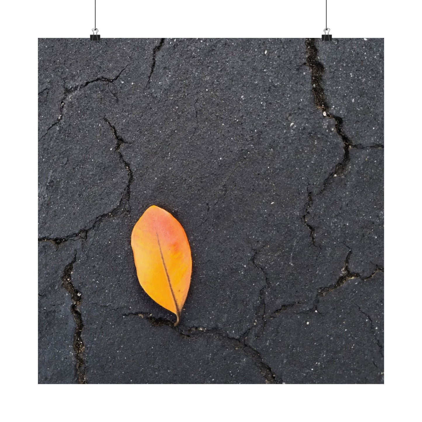 Orange Leaf Against Black Concrete Poster – Minimalist Nature Photography Wall Art