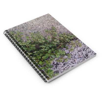 Where the Allseed Grows Notebook – Urban Nature Minimalist Botanical Journal with Concrete Texture Cover