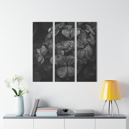 Geranium After a Light Rain Acrylic Triptych – Black and White Floral Triptych Wall Art for Modern Botanical Home Decor