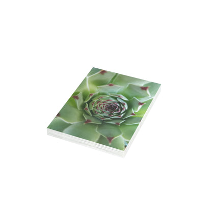 Pale Green Spiky Succulent Postcard – Botanical Art Print for Calm Minimalist Correspondence and Decor