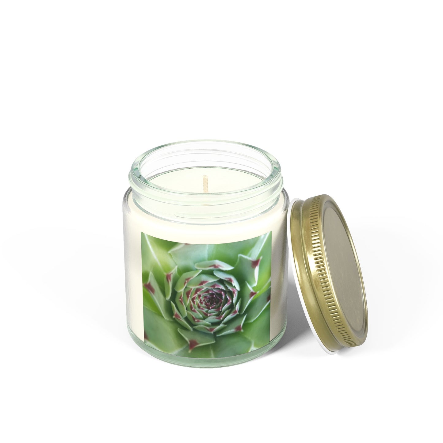 Pale Green Spiky Succulent Jar Candle – Minimalist Botanical Image Candle for Calm Desert-Inspired Decor