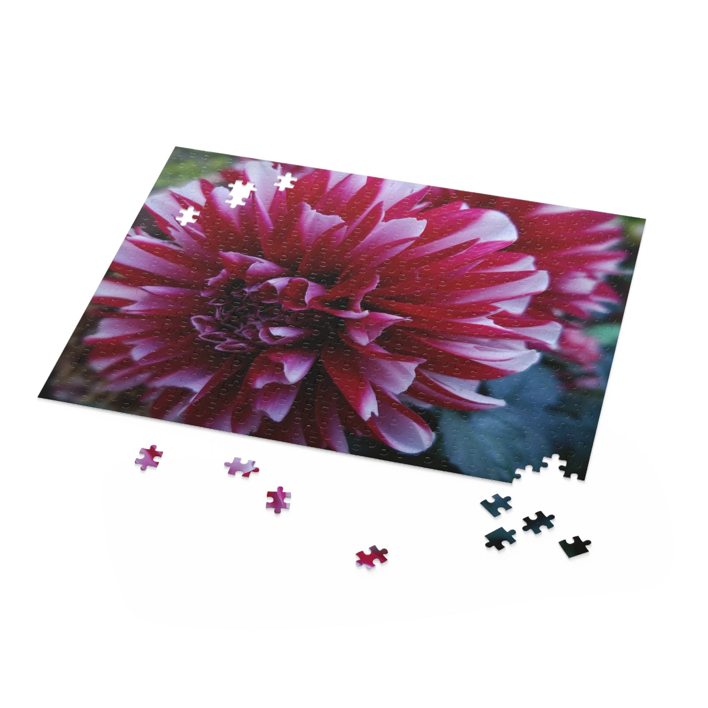 Red and White Dahlia Puzzle – Botanical Floral Jigsaw for Adults, Cottagecore Garden-Inspired Game Night Gift