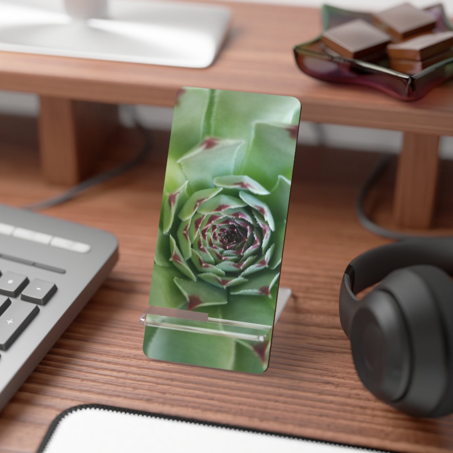 Pale Green Succulent Phone Stand – Modern Botanical Photography Phone Accessory