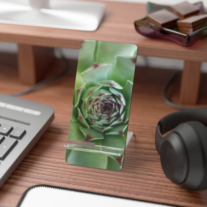 Pale Green Succulent Phone Stand – Modern Botanical Photography Phone Accessory