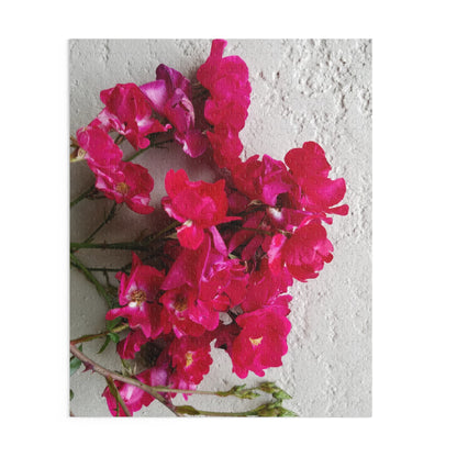 Bougainvillea Against White Stucco Wall Puzzle – Mediterranean Floral Jigsaw, Cottagecore Botanical Art Puzzle