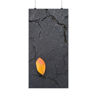 Orange Leaf Against Black Concrete Poster – Minimalist Nature Photography Wall Art
