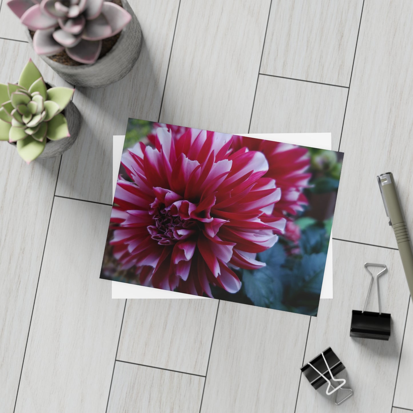 Red and White Dahlia Postcard – Botanical Floral Stationery for Garden-Inspired Correspondence
